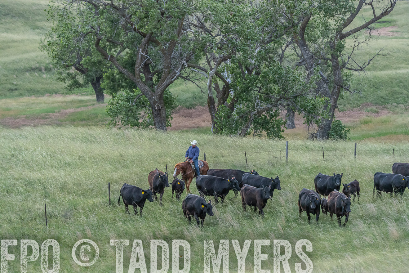 TMyers_PP_FinneyRanch_Nebraska_June2024-524665
