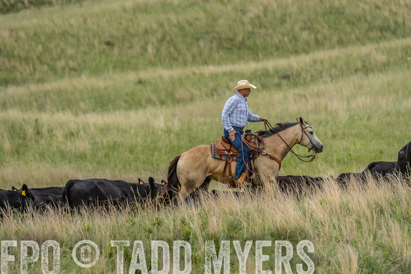TMyers_PP_FinneyRanch_Nebraska_June2024-524717