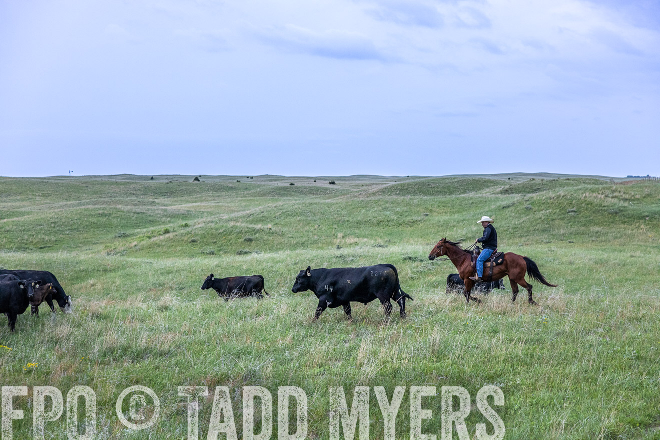 TMyers_PP_MilldaleRanch_Nebraska_June2024-513810