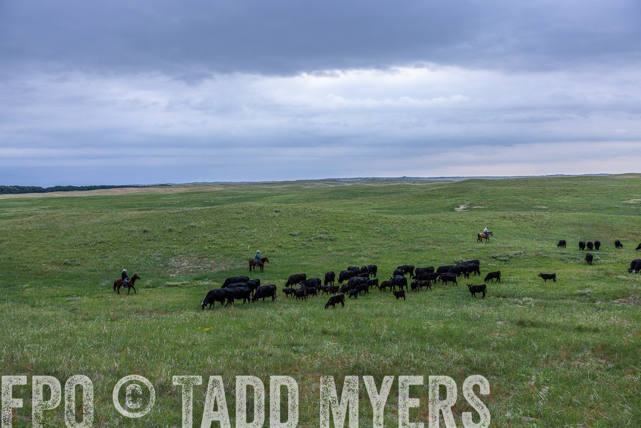 TMyers_PP_MilldaleRanch_Nebraska_June2024-513835