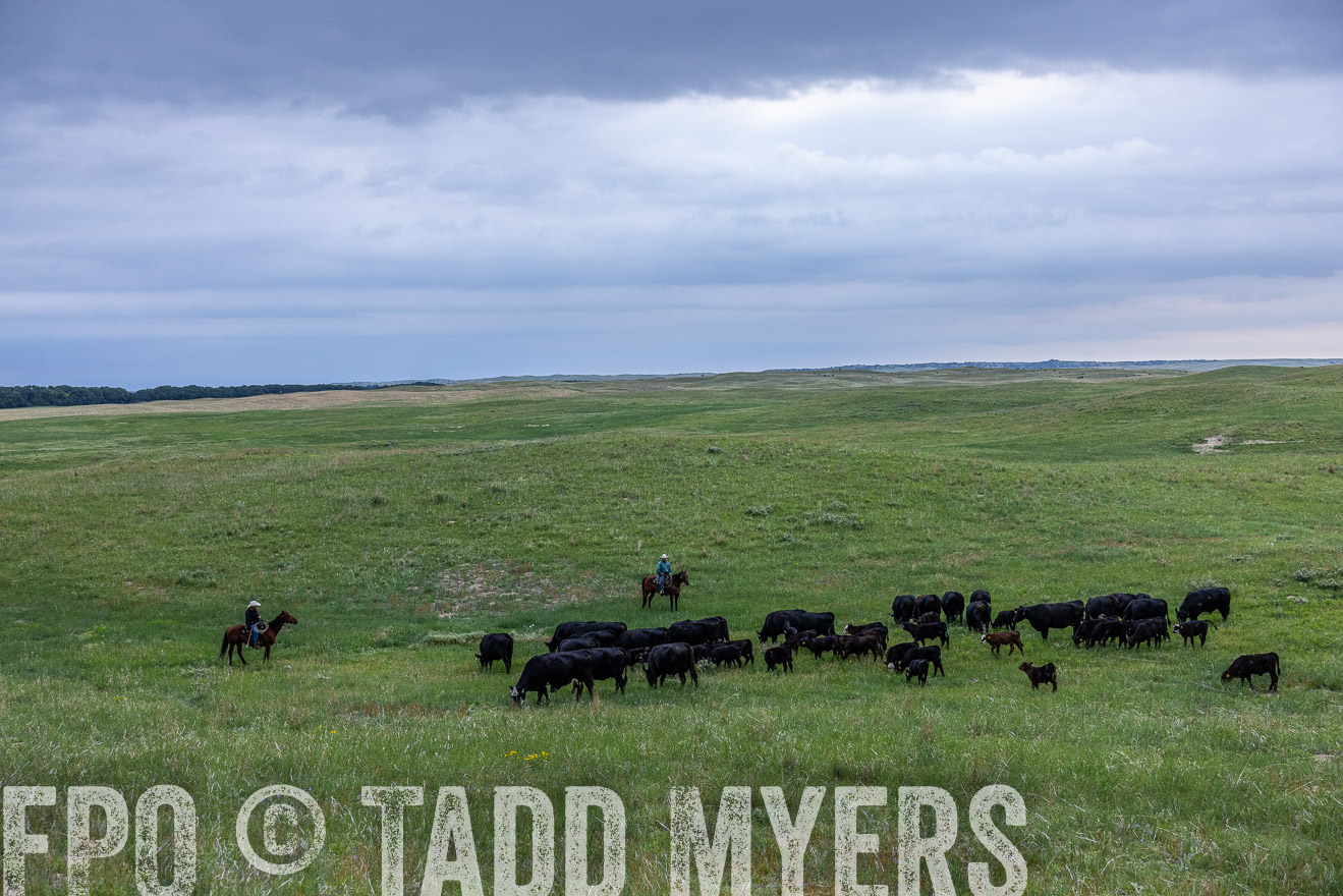 TMyers_PP_MilldaleRanch_Nebraska_June2024-513842