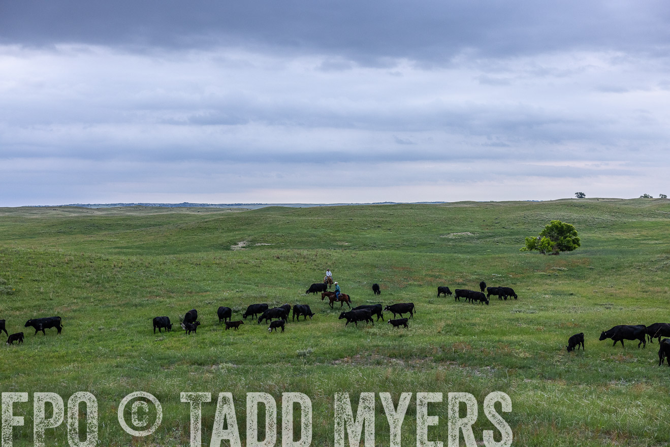 TMyers_PP_MilldaleRanch_Nebraska_June2024-513847