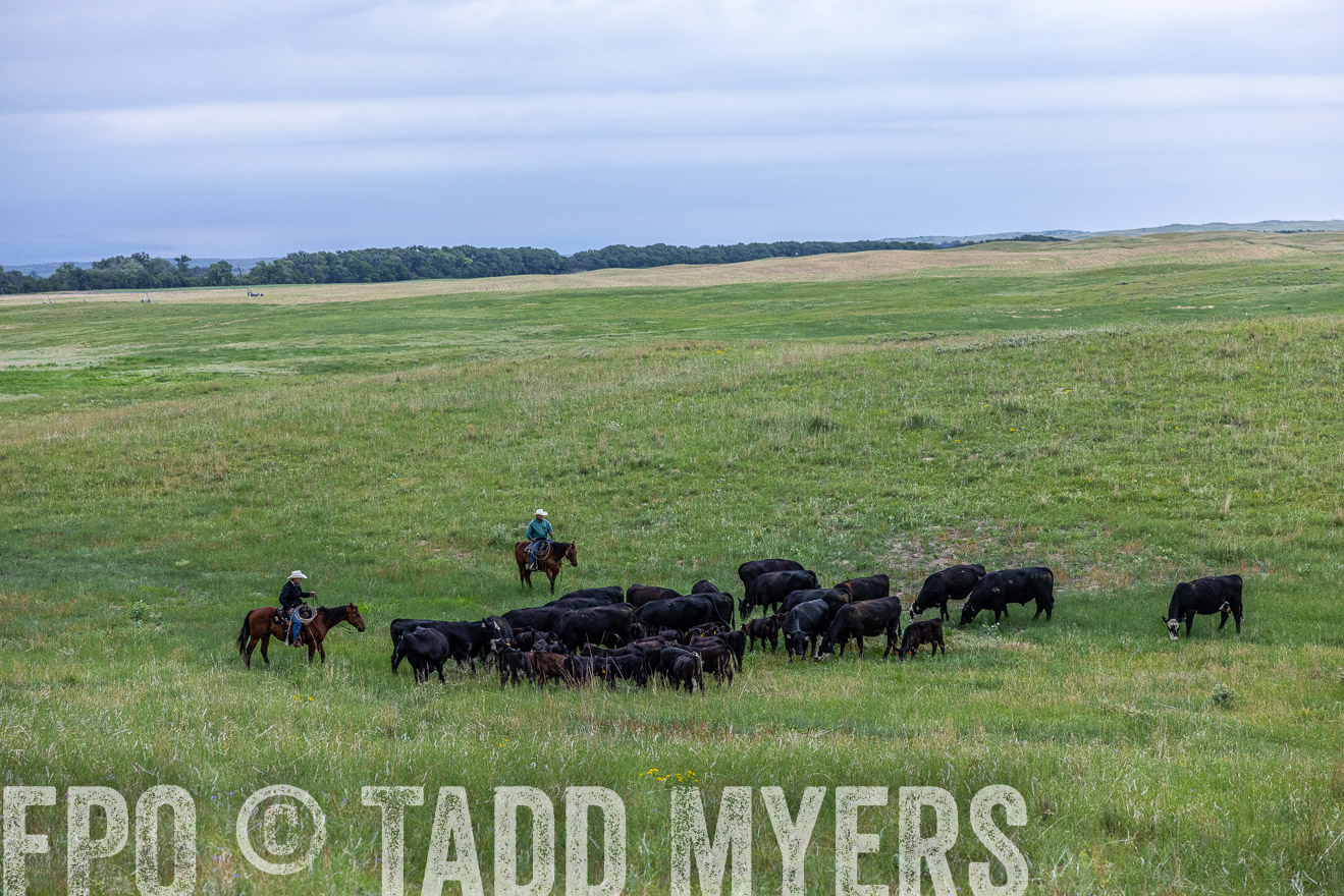 TMyers_PP_MilldaleRanch_Nebraska_June2024-513849