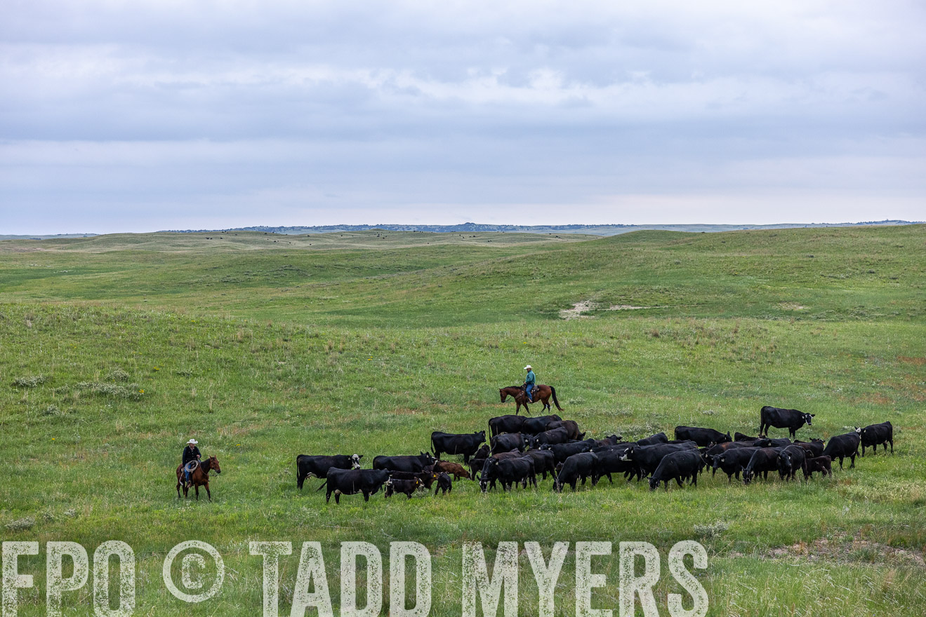 TMyers_PP_MilldaleRanch_Nebraska_June2024-513867