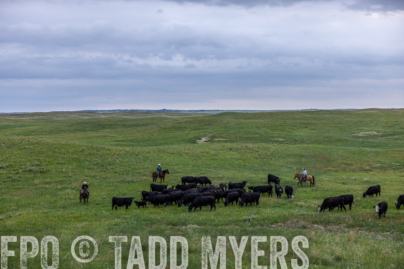 TMyers_PP_MilldaleRanch_Nebraska_June2024-513875