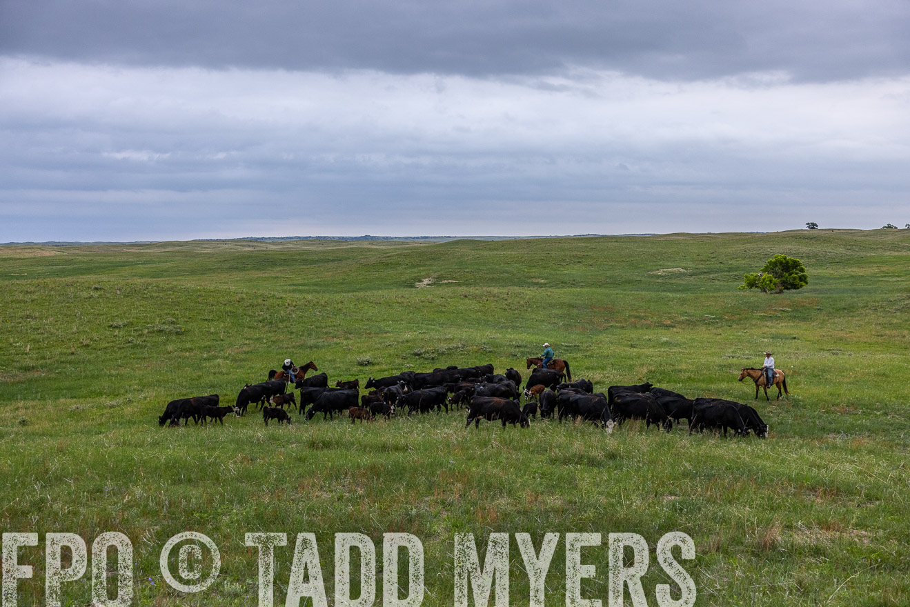 TMyers_PP_MilldaleRanch_Nebraska_June2024-513908