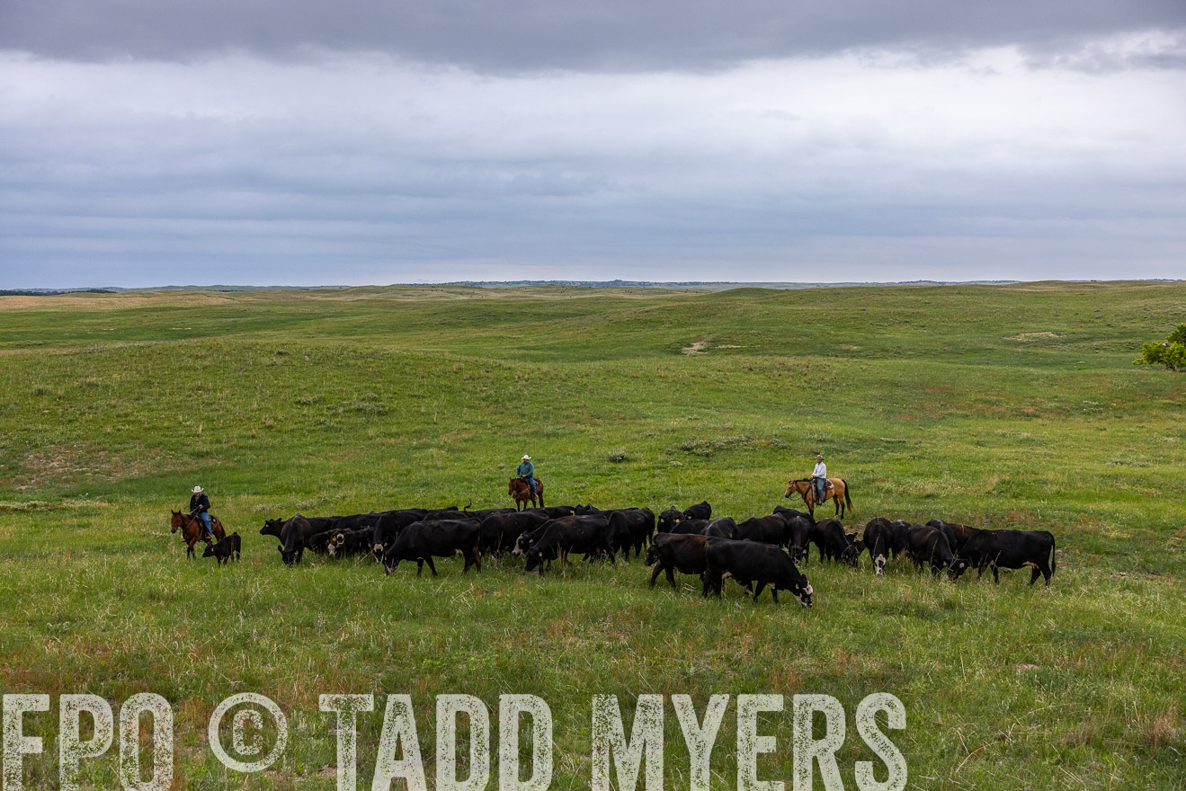 TMyers_PP_MilldaleRanch_Nebraska_June2024-513918