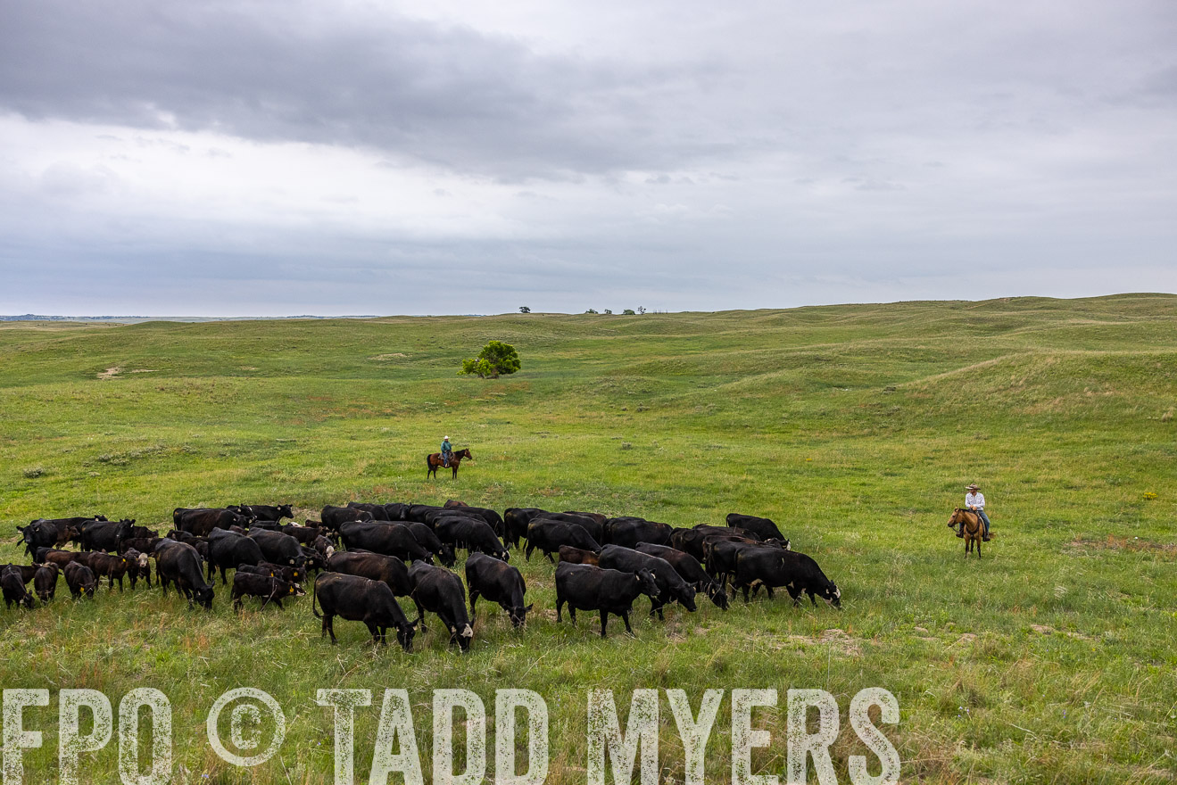 TMyers_PP_MilldaleRanch_Nebraska_June2024-513942