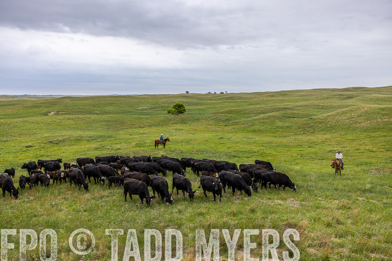 TMyers_PP_MilldaleRanch_Nebraska_June2024-513947