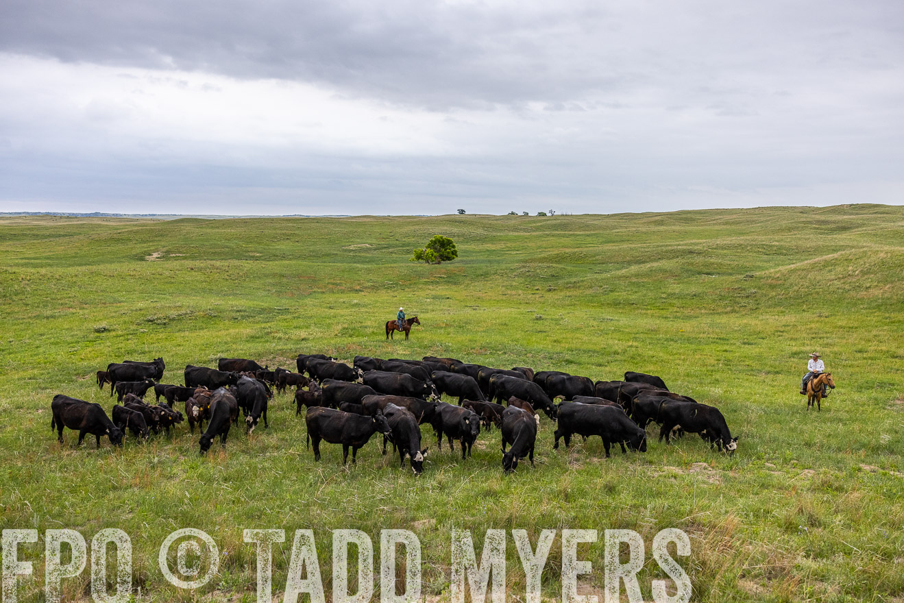 TMyers_PP_MilldaleRanch_Nebraska_June2024-513955