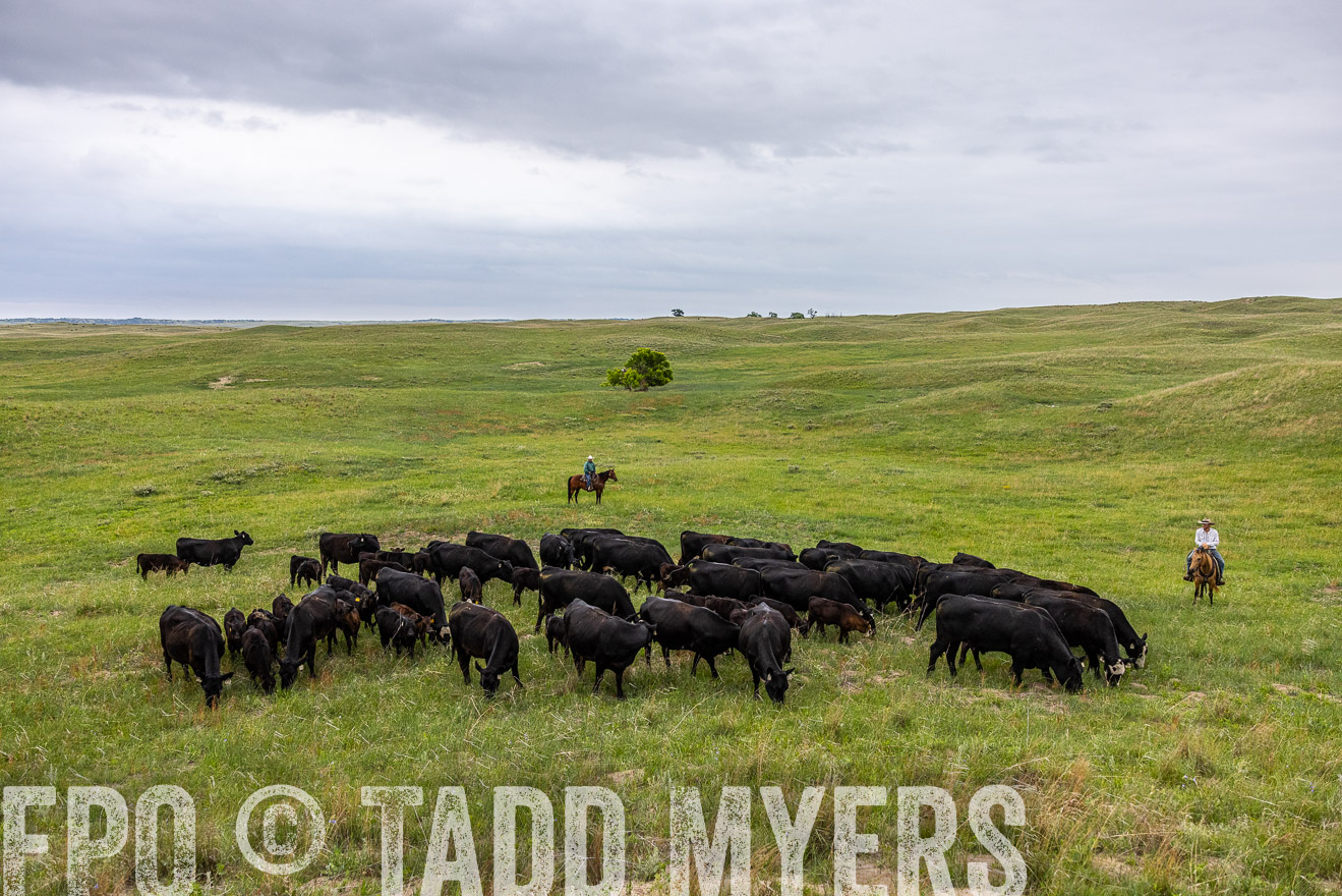 TMyers_PP_MilldaleRanch_Nebraska_June2024-513961