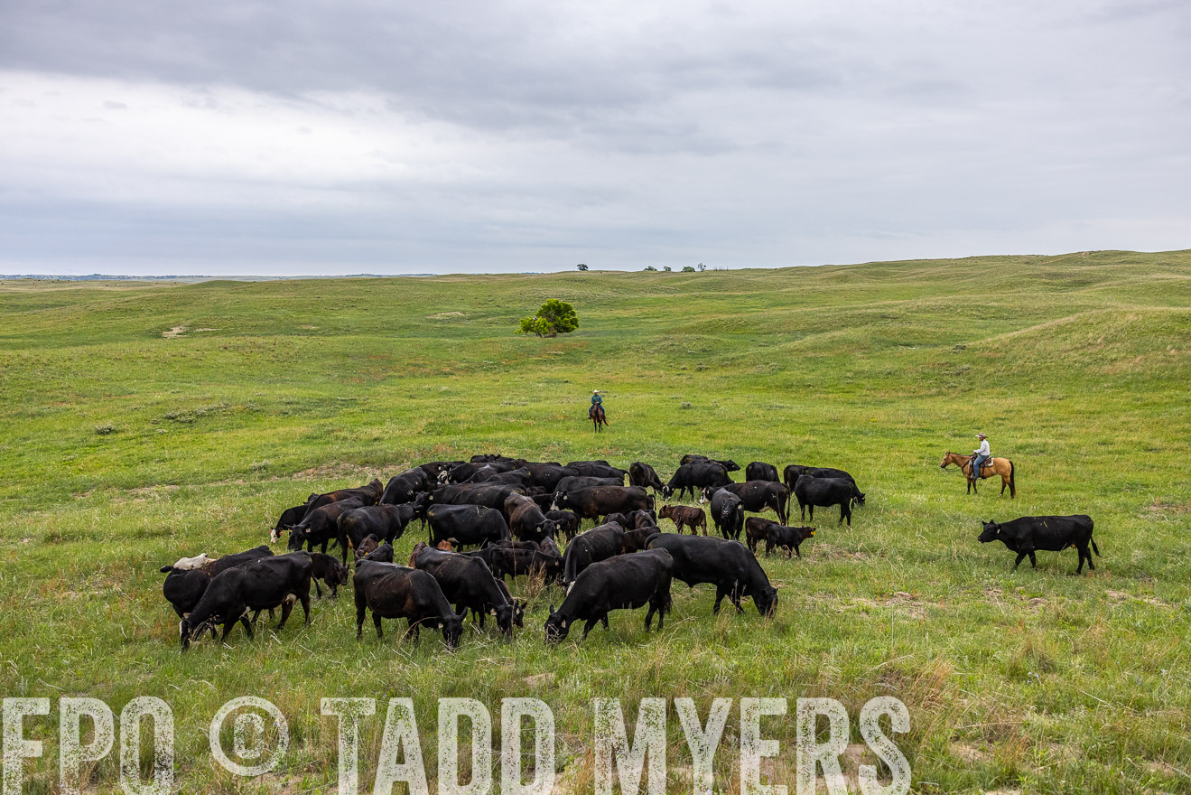 TMyers_PP_MilldaleRanch_Nebraska_June2024-513986
