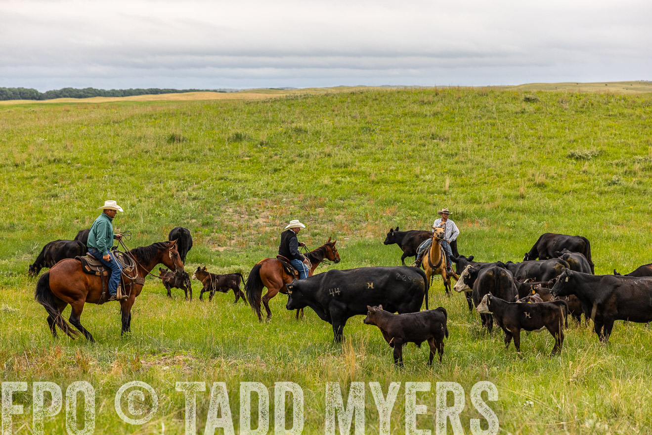TMyers_PP_MilldaleRanch_Nebraska_June2024-514079