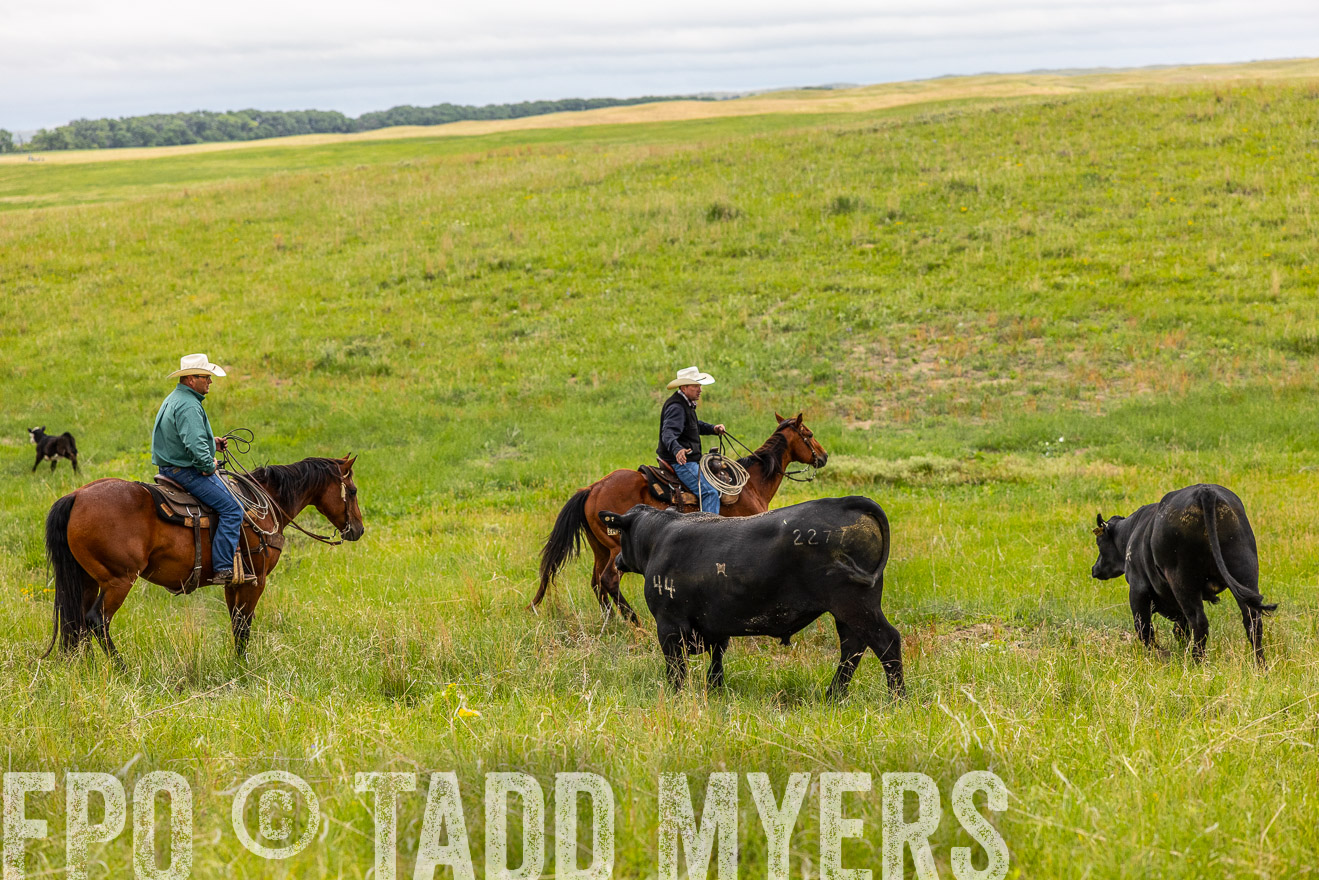 TMyers_PP_MilldaleRanch_Nebraska_June2024-514106