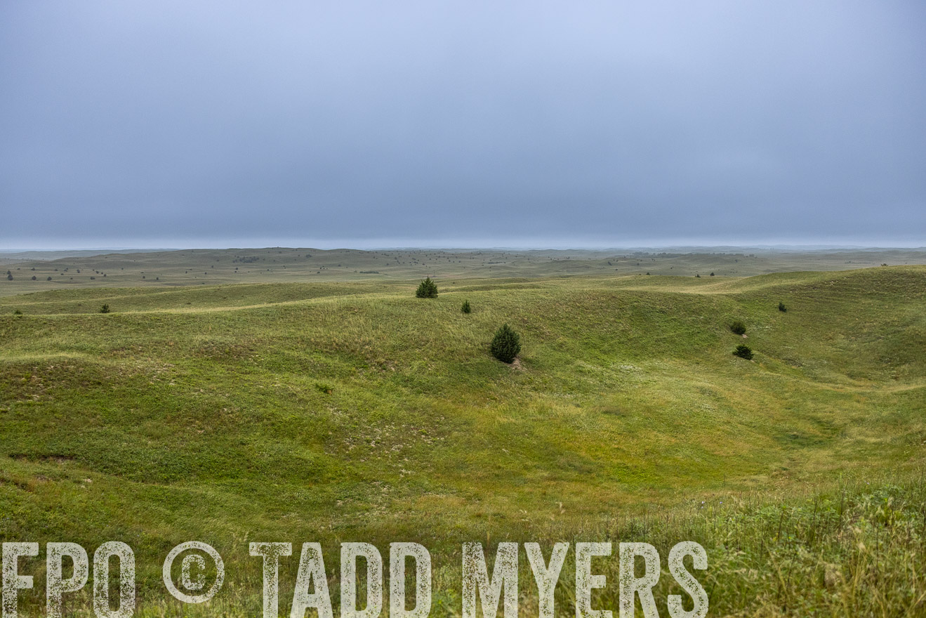 TMyers_PP_MilldaleRanch_Nebraska_June2024-515324