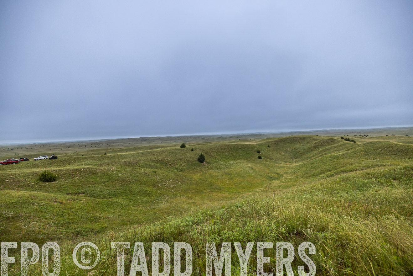 TMyers_PP_MilldaleRanch_Nebraska_June2024-515330