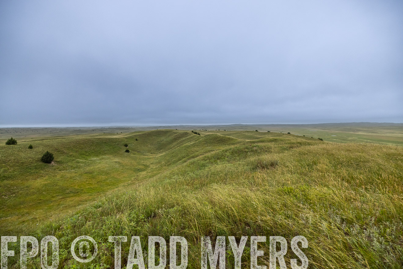 TMyers_PP_MilldaleRanch_Nebraska_June2024-515334