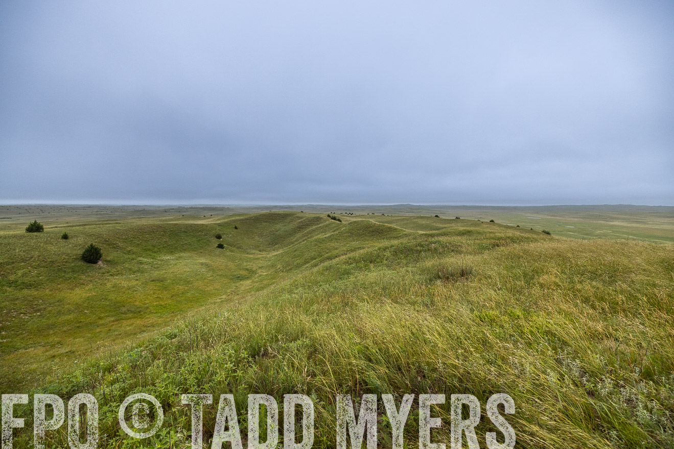 TMyers_PP_MilldaleRanch_Nebraska_June2024-515339