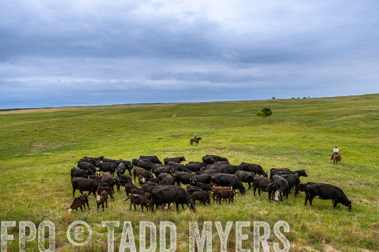 TMyers_PP_MilldaleRanch_Nebraska_June2024-523515
