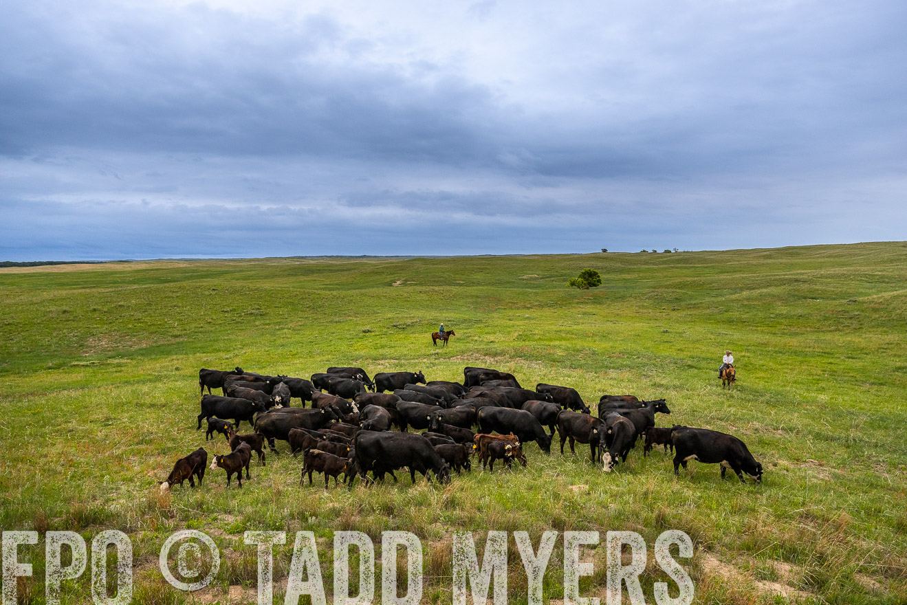 TMyers_PP_MilldaleRanch_Nebraska_June2024-523518