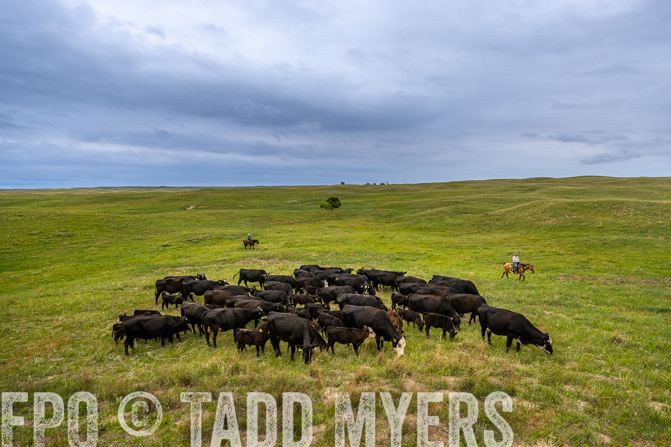TMyers_PP_MilldaleRanch_Nebraska_June2024-523537