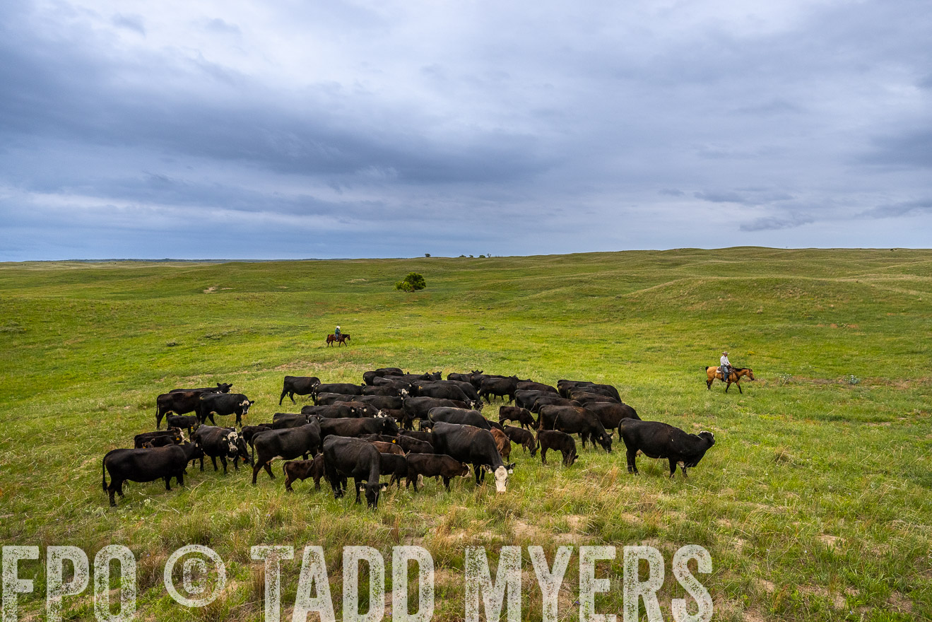 TMyers_PP_MilldaleRanch_Nebraska_June2024-523542