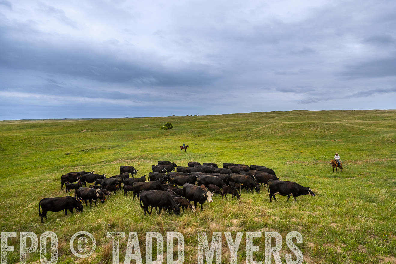 TMyers_PP_MilldaleRanch_Nebraska_June2024-523549
