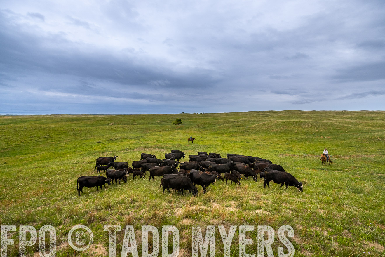 TMyers_PP_MilldaleRanch_Nebraska_June2024-523553