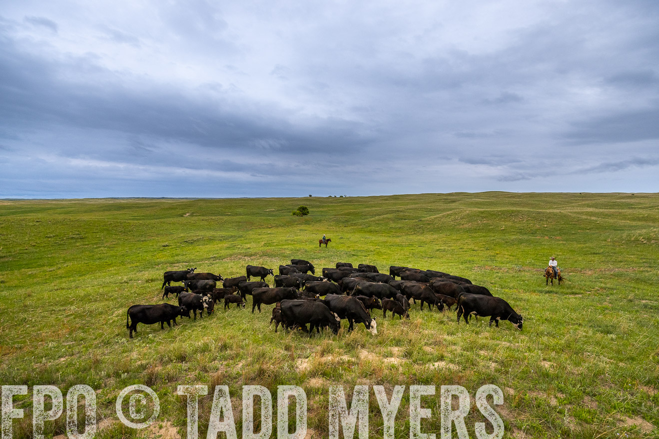 TMyers_PP_MilldaleRanch_Nebraska_June2024-523558