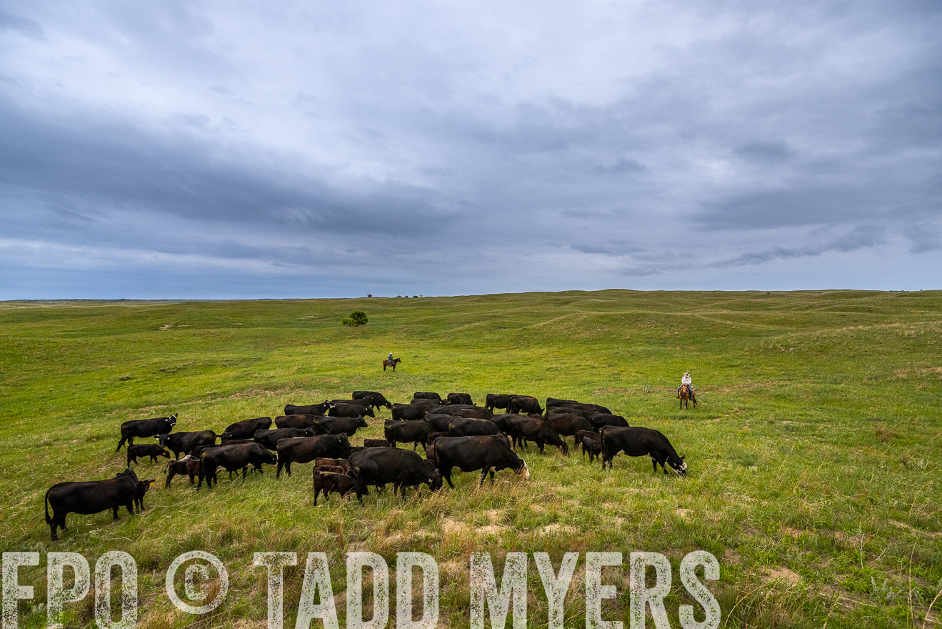 TMyers_PP_MilldaleRanch_Nebraska_June2024-523562