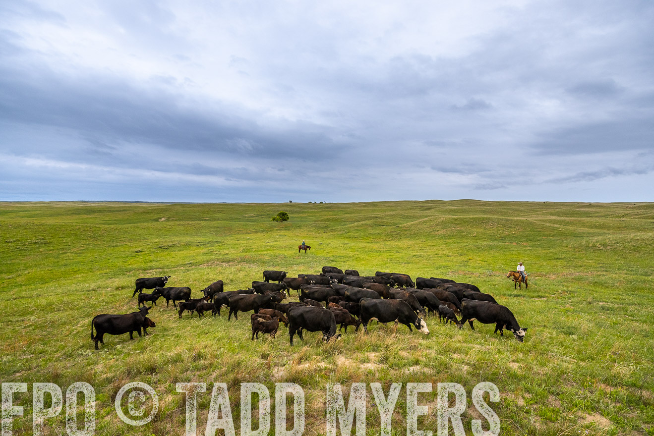 TMyers_PP_MilldaleRanch_Nebraska_June2024-523573