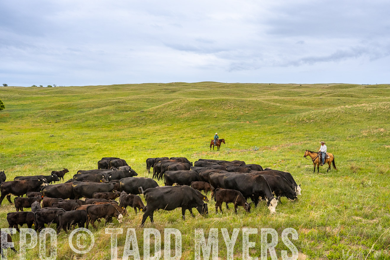 TMyers_PP_MilldaleRanch_Nebraska_June2024-523579