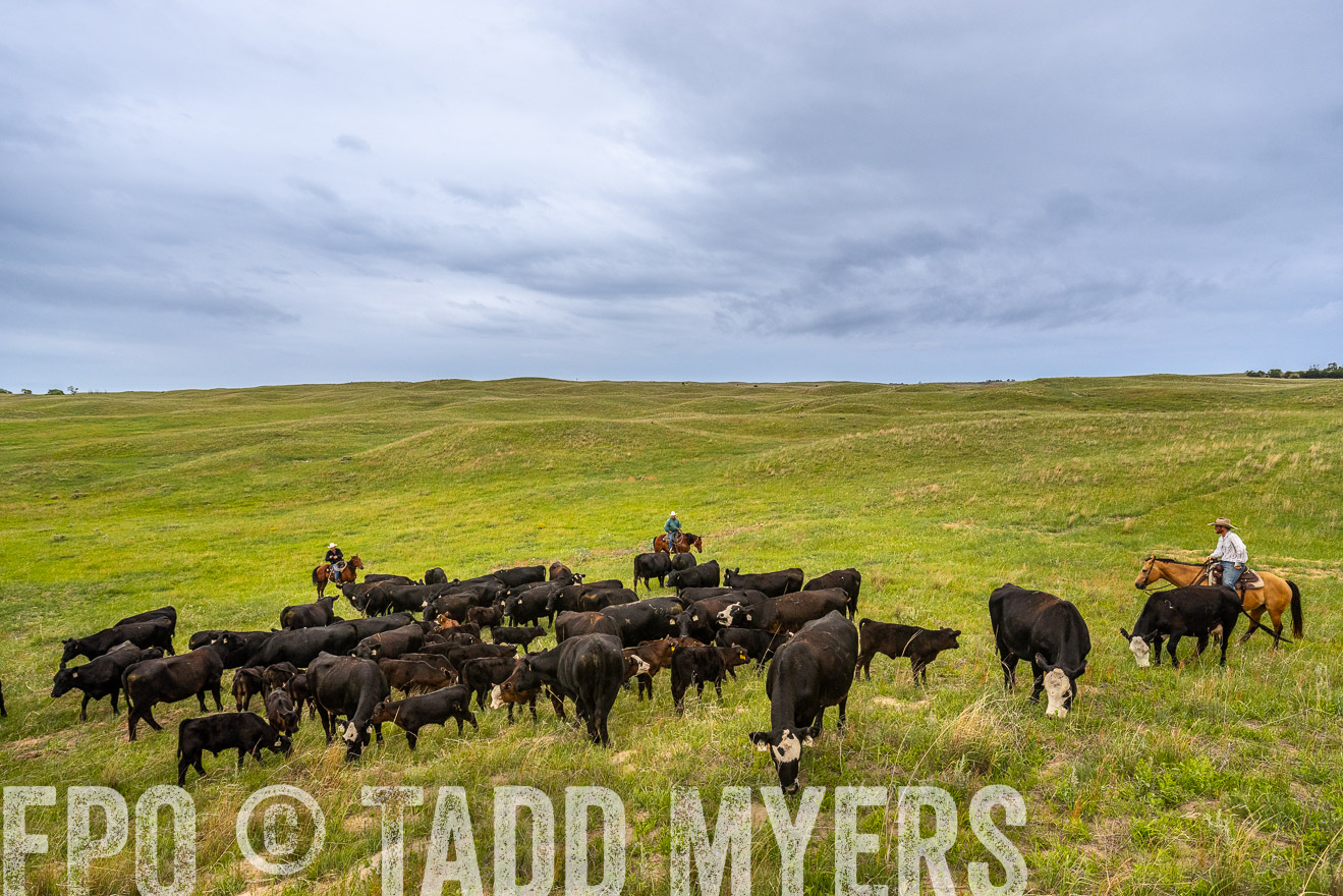 TMyers_PP_MilldaleRanch_Nebraska_June2024-523607