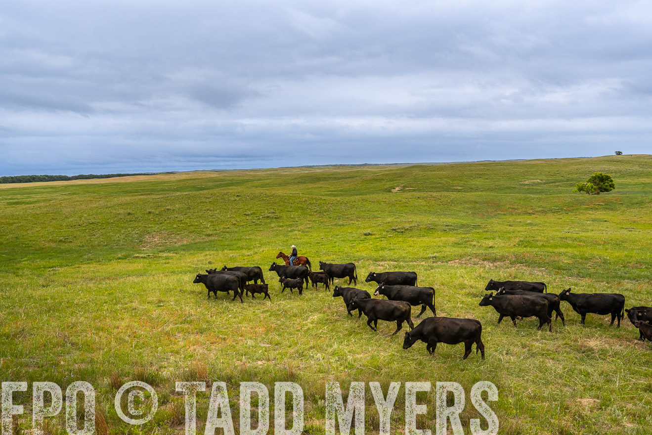 TMyers_PP_MilldaleRanch_Nebraska_June2024-523613