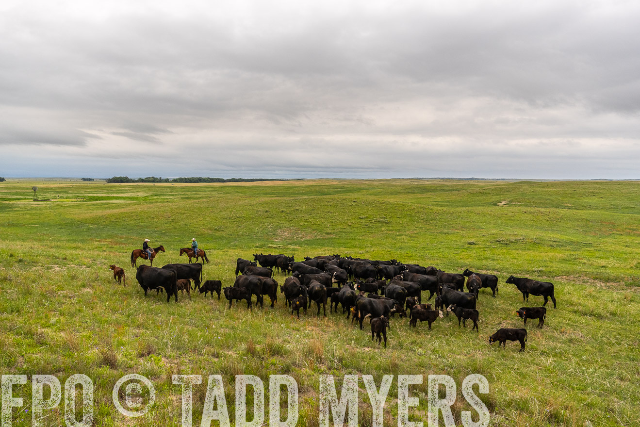 TMyers_PP_MilldaleRanch_Nebraska_June2024-523631
