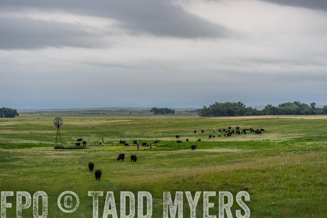 TMyers_PP_MilldaleRanch_Nebraska_June2024-523637