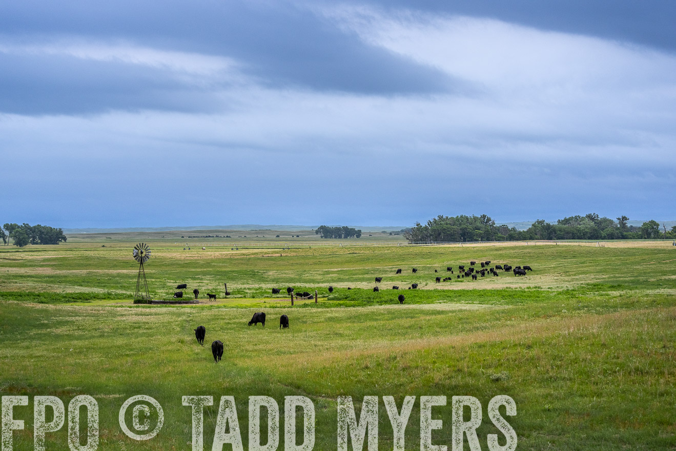 TMyers_PP_MilldaleRanch_Nebraska_June2024-523641