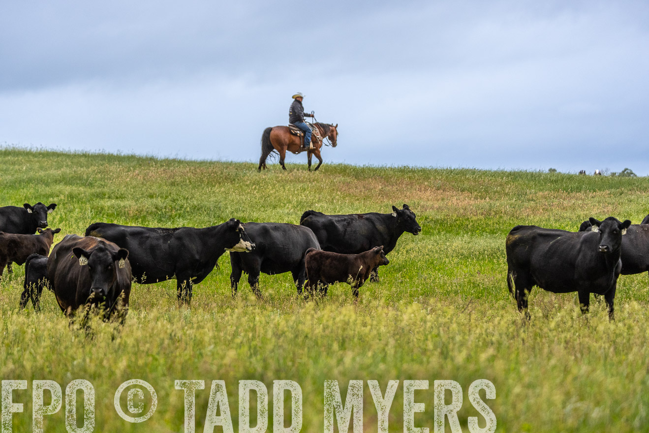 TMyers_PP_MilldaleRanch_Nebraska_June2024-523753