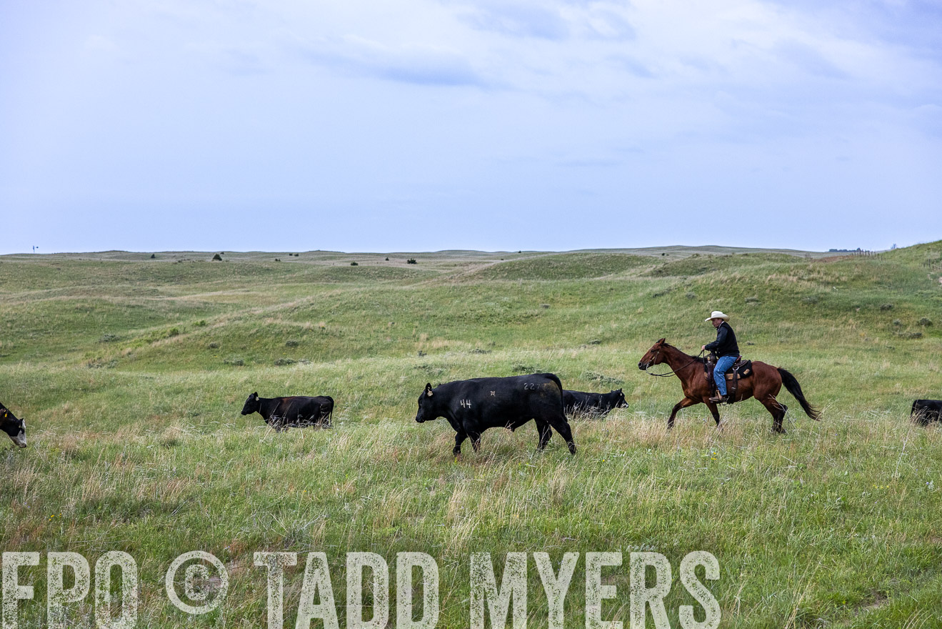 TMyers_PP_MilldaleRanch_Nebraska_June2024-513808