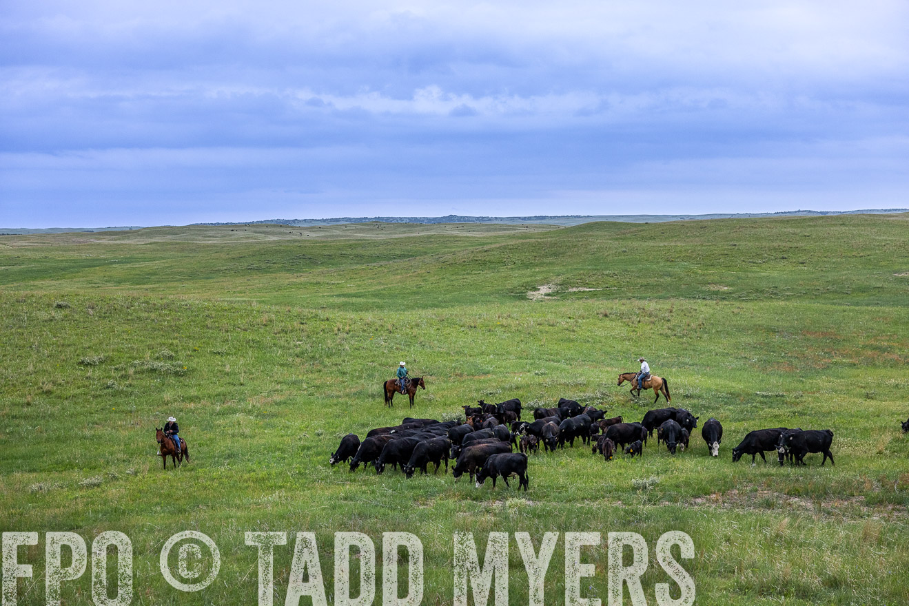 TMyers_PP_MilldaleRanch_Nebraska_June2024-513885