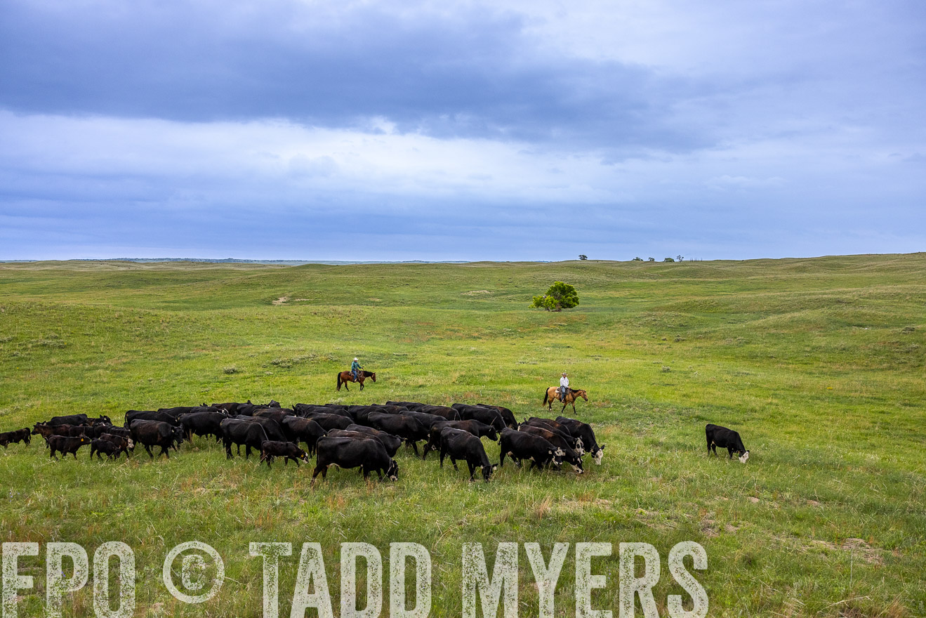 TMyers_PP_MilldaleRanch_Nebraska_June2024-513934