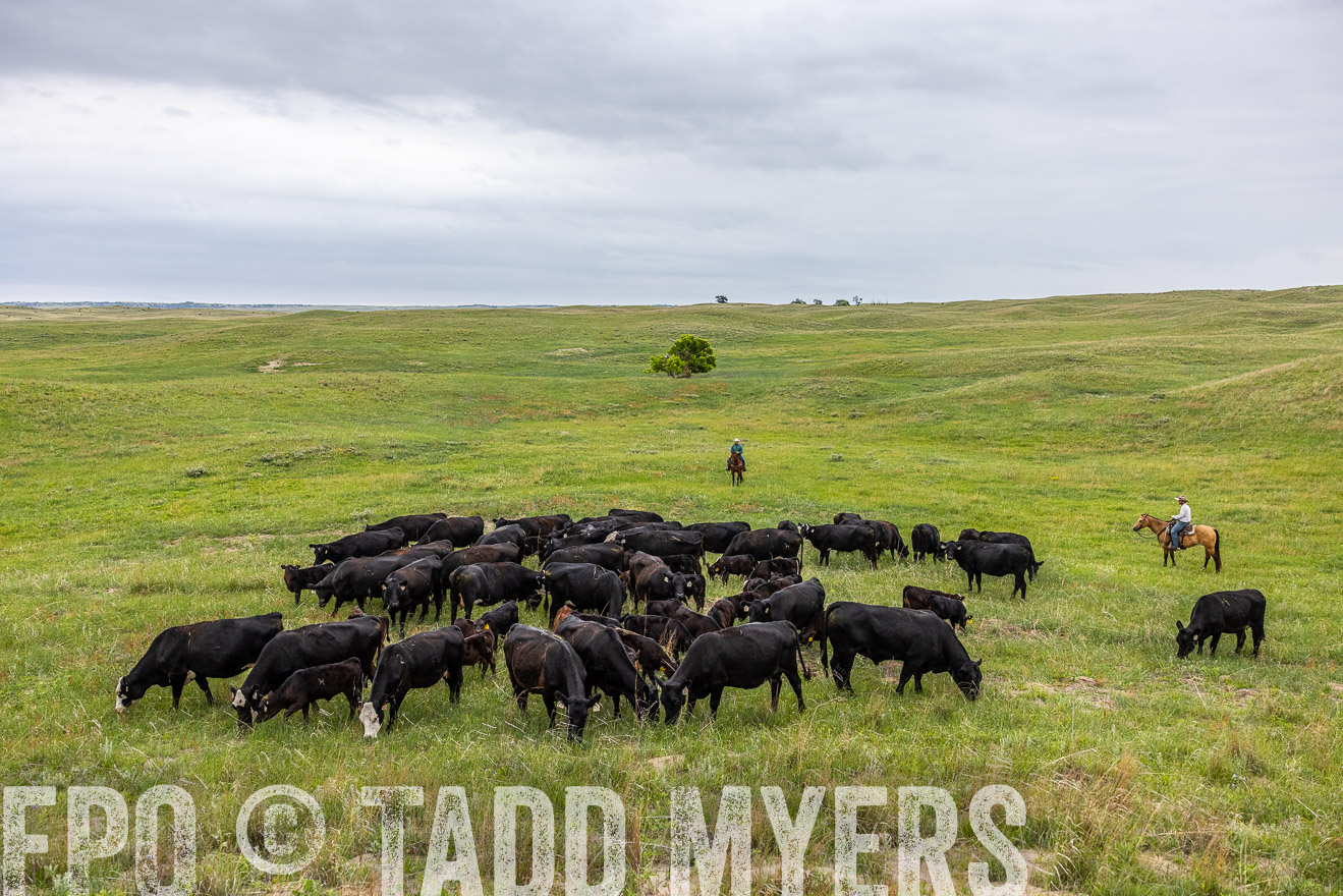 TMyers_PP_MilldaleRanch_Nebraska_June2024-513999