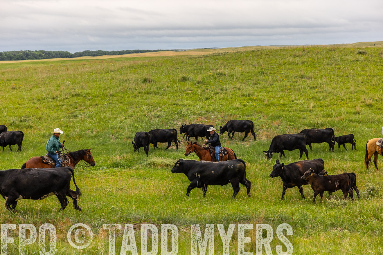 TMyers_PP_MilldaleRanch_Nebraska_June2024-514088