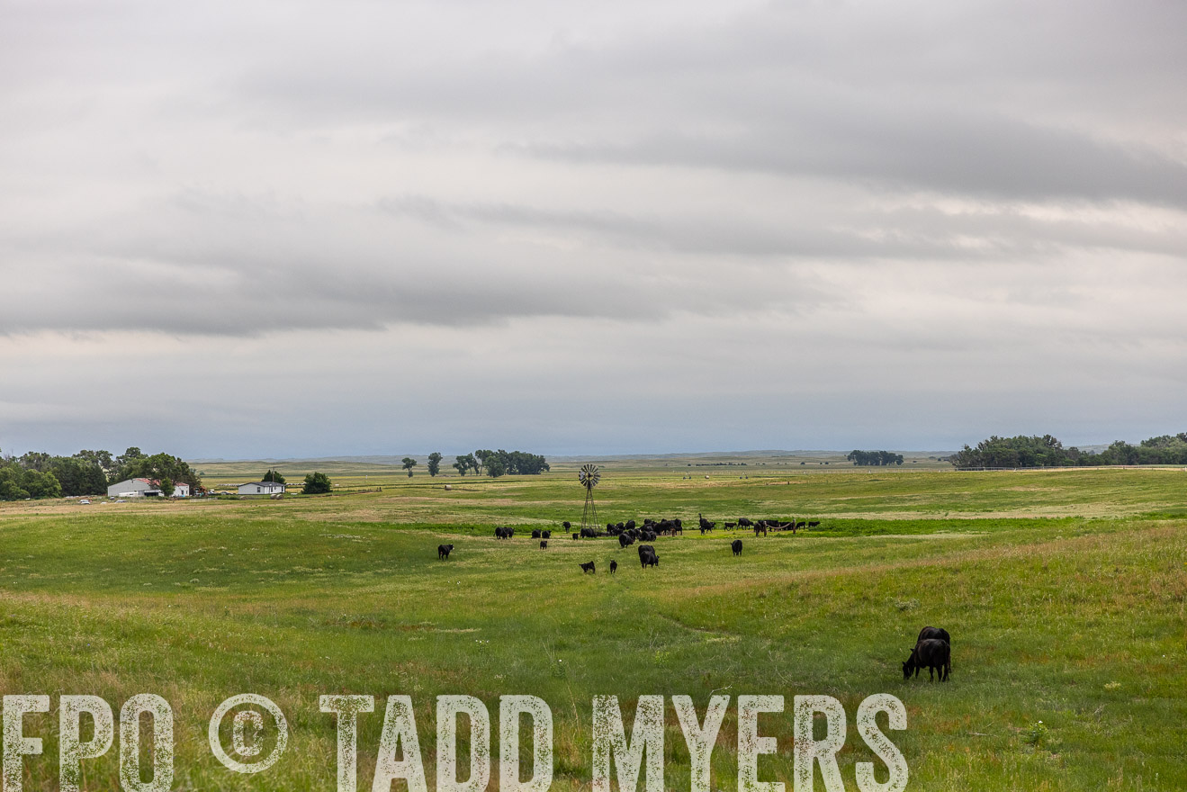 TMyers_PP_MilldaleRanch_Nebraska_June2024-514111