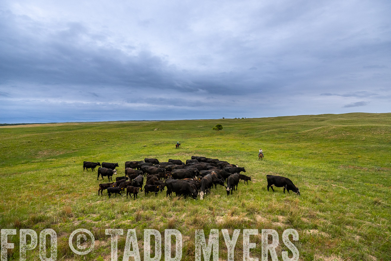 TMyers_PP_MilldaleRanch_Nebraska_June2024-523525