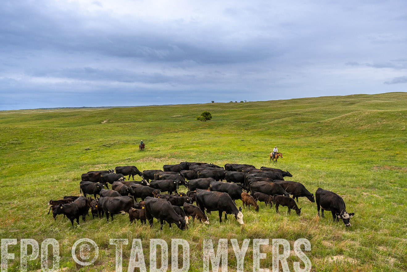 TMyers_PP_MilldaleRanch_Nebraska_June2024-523532