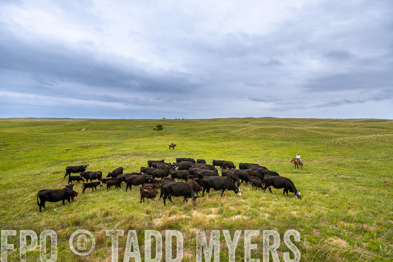 TMyers_PP_MilldaleRanch_Nebraska_June2024-523567