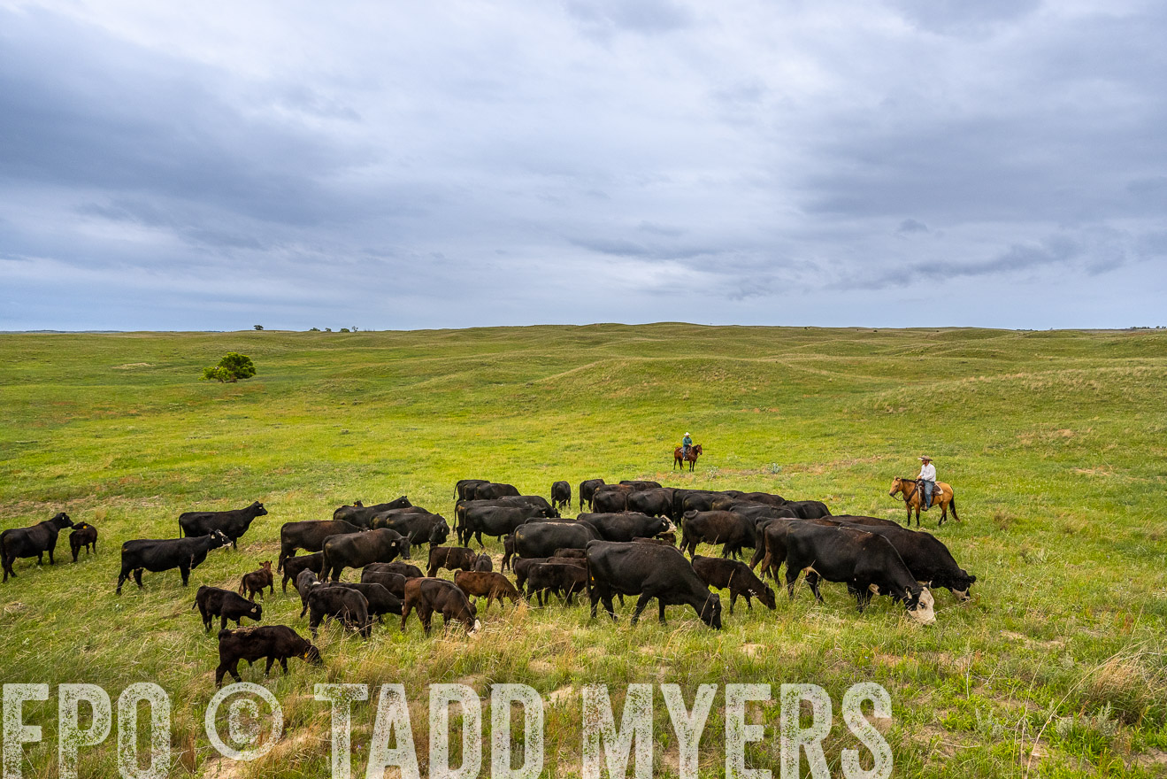 TMyers_PP_MilldaleRanch_Nebraska_June2024-523595