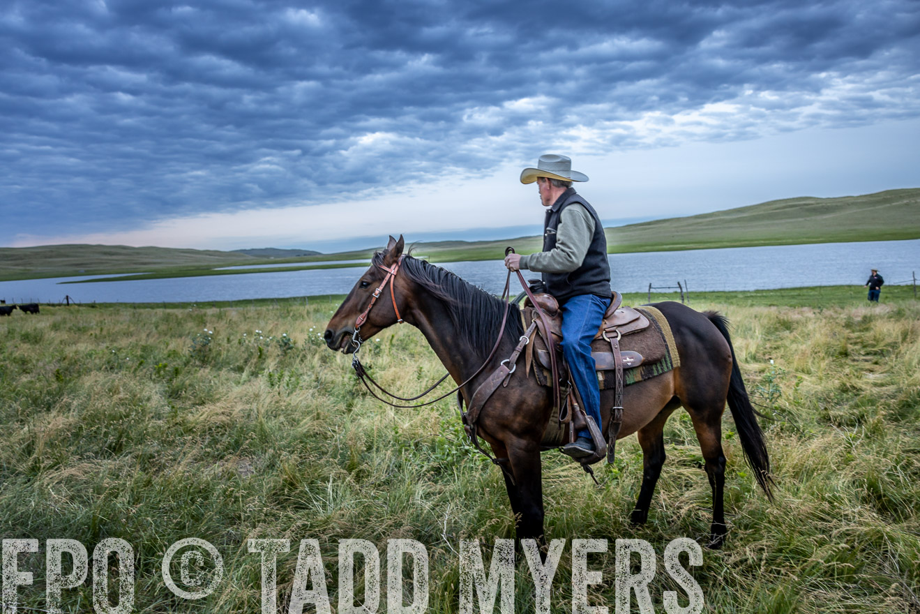 TMyers_PP_VintonRanch_Nebraska_June2024-517278