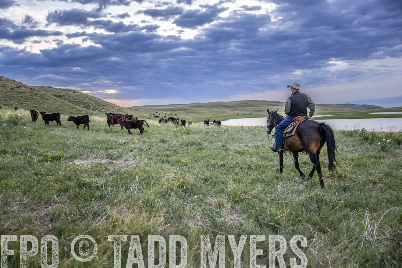 TMyers_PP_VintonRanch_Nebraska_June2024-517402